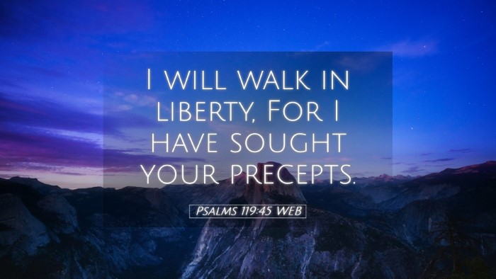 Picture 05 - Psalms 119:45 WEB Desktop Wallpaper - I will walk in liberty, For I have sought your - Desktop Bible Verse Wallpaper
