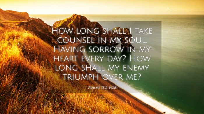 Picture 05 - Psalms 13:2 WEB Desktop Wallpaper - How long shall I take counsel in my soul, Having - Desktop Bible Verse Wallpaper