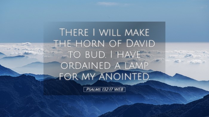 Picture 05 - Psalms 132:17 WEB Desktop Wallpaper - There I will make the horn of David to bud. I - Desktop Bible Verse Wallpaper