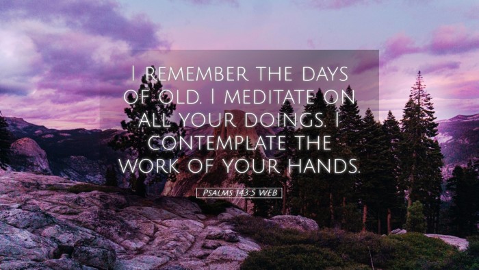 Picture 05 - Psalms 143:5 WEB Desktop Wallpaper - I remember the days of old. I meditate on all - Desktop Bible Verse Wallpaper