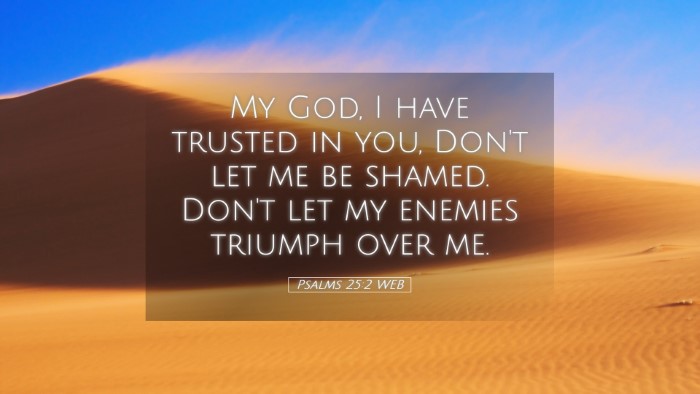 Picture 05 - Psalms 25:2 WEB Desktop Wallpaper - My God, I have trusted in you, Don't let me be - Desktop Bible Verse Wallpaper
