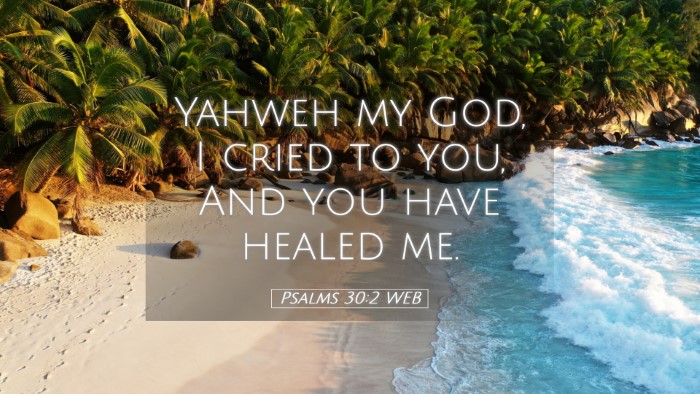 Picture 05 - Psalms 30:2 WEB Desktop Wallpaper - Yahweh my God, I cried to you, And you have - Desktop Bible Verse Wallpaper