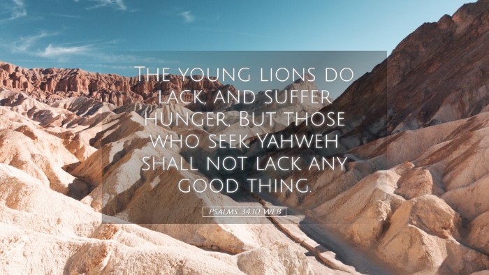 Picture 05 - Psalms 34:10 WEB Desktop Wallpaper - The young lions do lack, and suffer hunger, But - Desktop Bible Verse Wallpaper