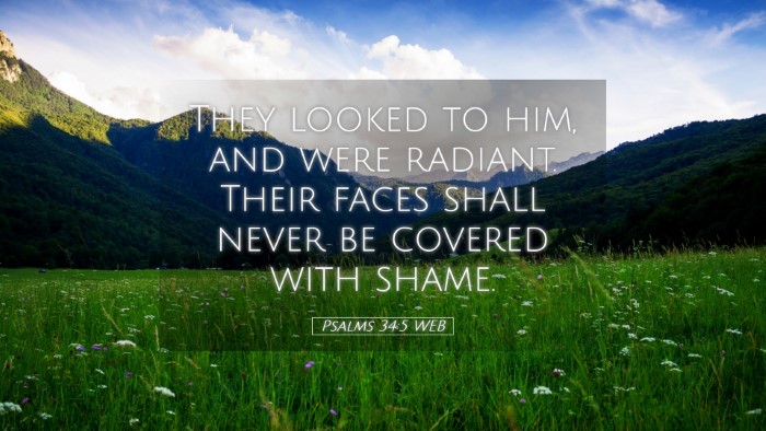 Picture 05 - Psalms 34:5 WEB Desktop Wallpaper - They looked to him, and were radiant. Their faces - Desktop Bible Verse Wallpaper