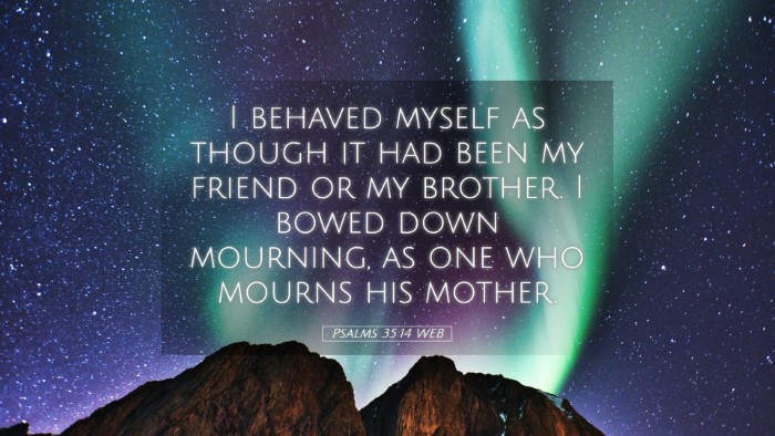 Picture 05 - Psalms 35:14 WEB Desktop Wallpaper - I behaved myself as though it had been my friend - Desktop Bible Verse Wallpaper