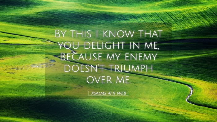 Picture 05 - Psalms 41:11 WEB Desktop Wallpaper - By this I know that you delight in me, Because my - Desktop Bible Verse Wallpaper