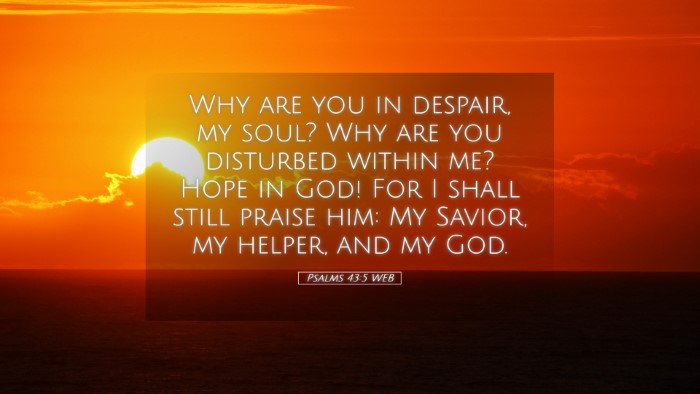Picture 05 - Psalms 43:5 WEB Desktop Wallpaper - Why are you in despair, my soul? Why are you - Desktop Bible Verse Wallpaper