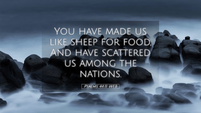 Picture 05 - Psalms 44:11 WEB Desktop Wallpaper - You have made us like sheep for food, And have - Desktop Bible Verse Wallpaper