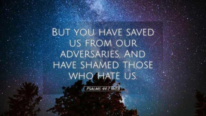 Picture 05 - Psalms 44:7 WEB Desktop Wallpaper - But you have saved us from our adversaries, And - Desktop Bible Verse Wallpaper