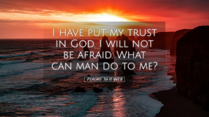 Picture 05 - Psalms 56:11 WEB Desktop Wallpaper - I have put my trust in God. I will not be afraid. - Desktop Bible Verse Wallpaper