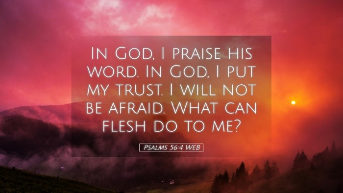 Picture 05 - Psalms 56:4 WEB Desktop Wallpaper - In God, I praise his word. In God, I put my - Desktop Bible Verse Wallpaper