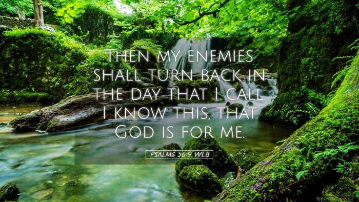 Picture 05 - Psalms 56:9 WEB Desktop Wallpaper - Then my enemies shall turn back in the day that I - Desktop Bible Verse Wallpaper