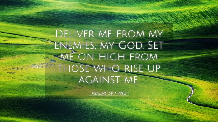 Picture 05 - Psalms 59:1 WEB Desktop Wallpaper - Deliver me from my enemies, my God. Set me on - Desktop Bible Verse Wallpaper