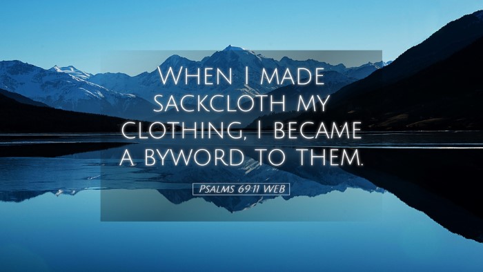 Picture 05 - Psalms 69:11 WEB Desktop Wallpaper - When I made sackcloth my clothing, I became a - Desktop Bible Verse Wallpaper