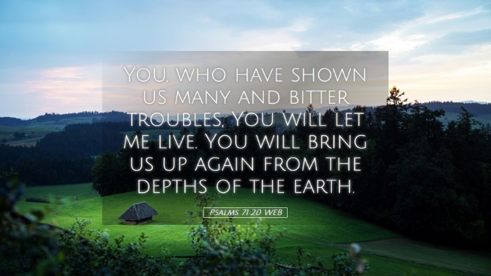 Picture 05 - Psalms 71:20 WEB Desktop Wallpaper - You, who have shown us many and bitter troubles, - Desktop Bible Verse Wallpaper