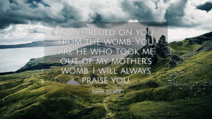 Picture 05 - Psalms 71:6 WEB Desktop Wallpaper - I have relied on you from the womb. You are he - Desktop Bible Verse Wallpaper