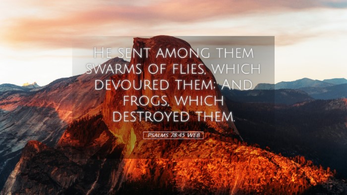 Picture 05 - Psalms 78:45 WEB Desktop Wallpaper - He sent among them swarms of flies, which - Desktop Bible Verse Wallpaper
