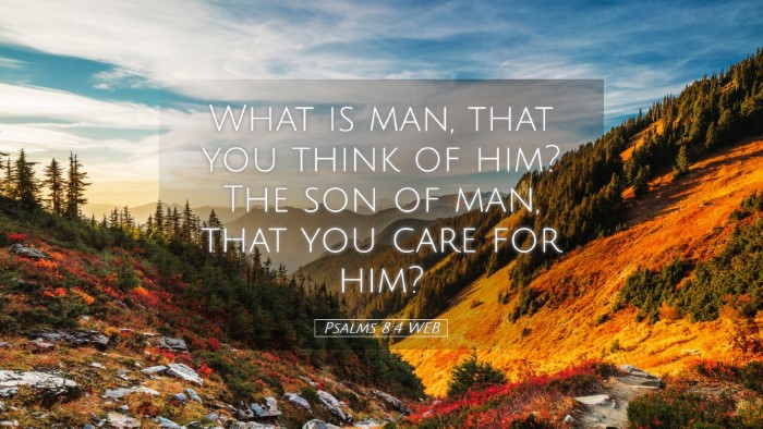 Picture 05 - Psalms 8:4 WEB Desktop Wallpaper - What is man, that you think of him? The son of - Desktop Bible Verse Wallpaper