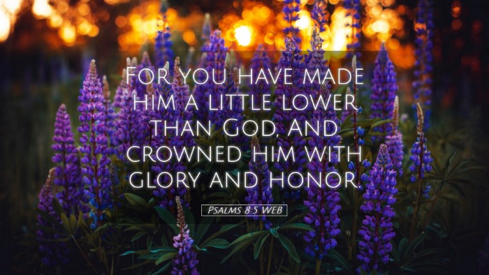Picture 05 - Psalms 8:5 WEB Desktop Wallpaper - For you have made him a little lower than God, - Desktop Bible Verse Wallpaper
