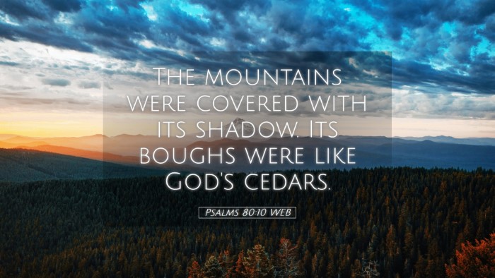 Picture 05 - Psalms 80:10 WEB Desktop Wallpaper - The mountains were covered with its shadow. Its - Desktop Bible Verse Wallpaper