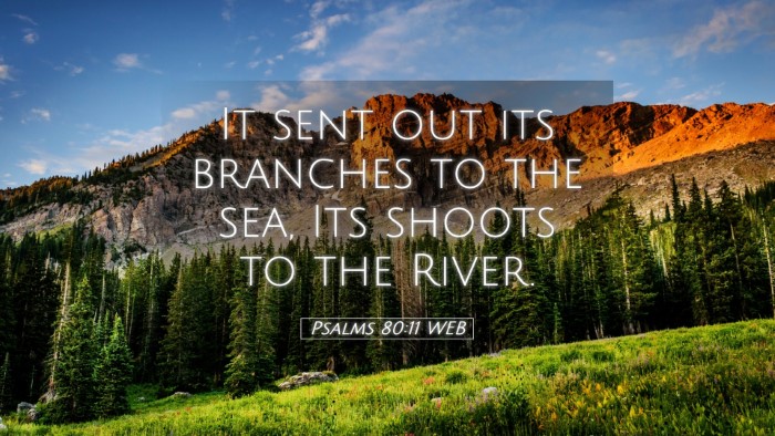 Picture 05 - Psalms 80:11 WEB Desktop Wallpaper - It sent out its branches to the sea, Its shoots - Desktop Bible Verse Wallpaper