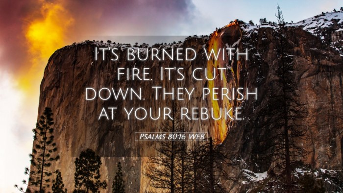 Picture 05 - Psalms 80:16 WEB Desktop Wallpaper - It's burned with fire. It's cut down. They perish - Desktop Bible Verse Wallpaper