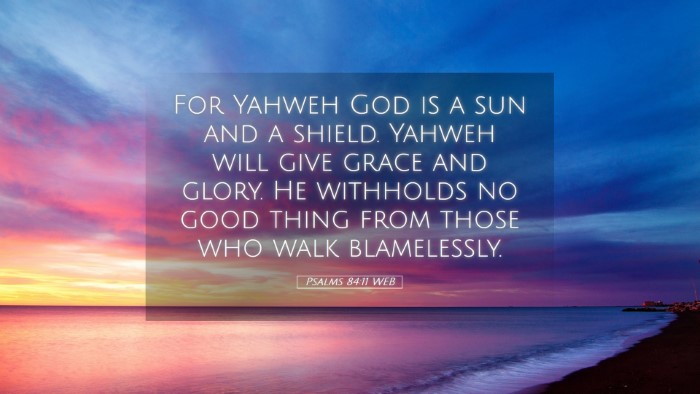 Picture 05 - Psalms 84:11 WEB Desktop Wallpaper - For Yahweh God is a sun and a shield. Yahweh will - Desktop Bible Verse Wallpaper