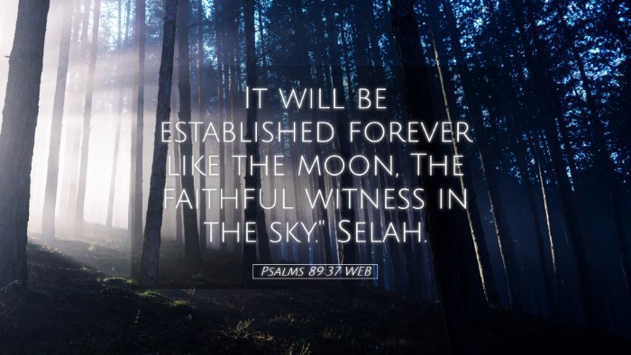 Picture 05 - Psalms 89:37 WEB Desktop Wallpaper - It will be established forever like the moon, The - Desktop Bible Verse Wallpaper