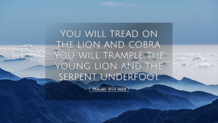 Picture 05 - Psalms 91:13 WEB Desktop Wallpaper - You will tread on the lion and cobra. You will - Desktop Bible Verse Wallpaper