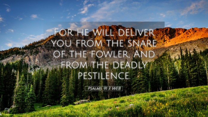 Picture 05 - Psalms 91:3 WEB Desktop Wallpaper - For he will deliver you from the snare of the - Desktop Bible Verse Wallpaper