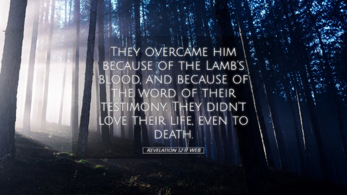 Picture 05 - Revelation 12:11 WEB Desktop Wallpaper - They overcame him because of the Lamb's blood, - Desktop Bible Verse Wallpaper