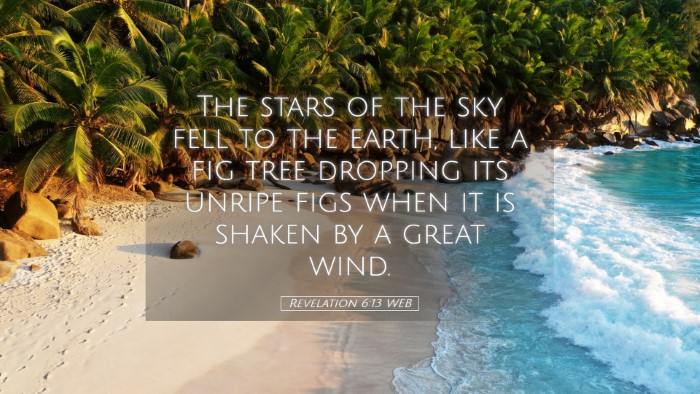 Picture 05 - Revelation 6:13 WEB Desktop Wallpaper - The stars of the sky fell to the earth, like a - Desktop Bible Verse Wallpaper