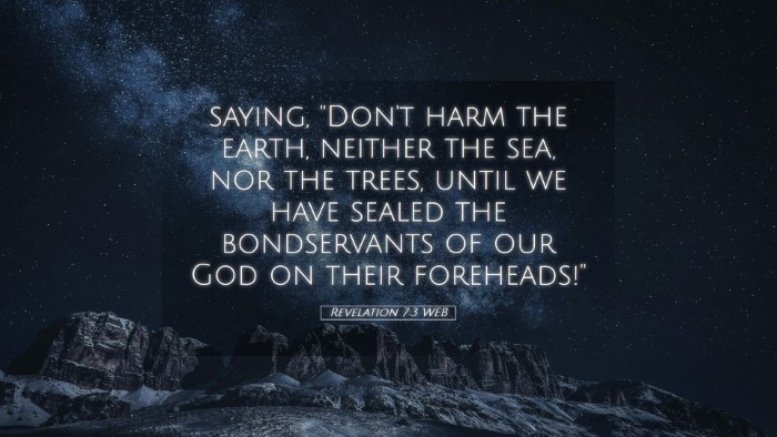 Picture 05 - Revelation 7:3 WEB Desktop Wallpaper - saying, 