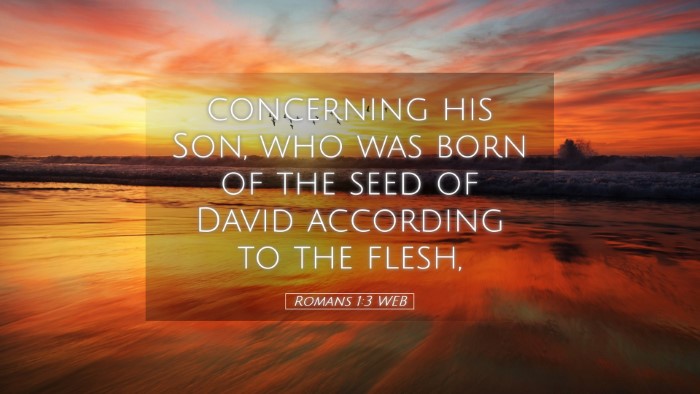 Picture 05 - Romans 1:3 WEB Desktop Wallpaper - concerning his Son, who was born of the seed of - Desktop Bible Verse Wallpaper