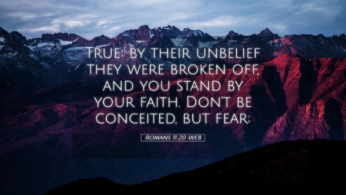 Picture 05 - Romans 11:20 WEB Desktop Wallpaper - True; by their unbelief they were broken off, and - Desktop Bible Verse Wallpaper