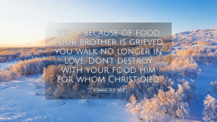 Picture 05 - Romans 14:15 WEB Desktop Wallpaper - Yet if because of food your brother is grieved, - Desktop Bible Verse Wallpaper