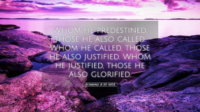 Picture 05 - Romans 8:30 WEB Desktop Wallpaper - Whom he predestined, those he also called. Whom - Desktop Bible Verse Wallpaper
