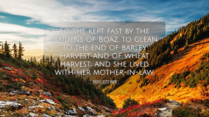 Picture 05 - Ruth 2:23 WEB Desktop Wallpaper - So she kept fast by the maidens of Boaz, to glean - Desktop Bible Verse Wallpaper