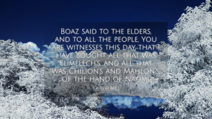 Picture 05 - Ruth 4:9 WEB Desktop Wallpaper - Boaz said to the elders, and to all the people, - Desktop Bible Verse Wallpaper