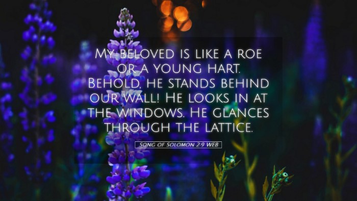 Picture 05 - Song of Solomon 2:9 WEB Desktop Wallpaper - My beloved is like a roe or a young hart. Behold, - Desktop Bible Verse Wallpaper