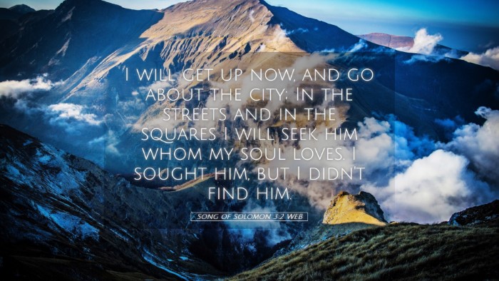 Picture 05 - Song of Solomon 3:2 WEB Desktop Wallpaper - I will get up now, and go about the city; In the - Desktop Bible Verse Wallpaper