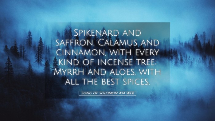 Picture 05 - Song of Solomon 4:14 WEB Desktop Wallpaper - Spikenard and saffron, Calamus and cinnamon, with - Desktop Bible Verse Wallpaper