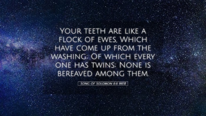 Picture 05 - Song of Solomon 6:6 WEB Desktop Wallpaper - Your teeth are like a flock of ewes, Which have - Desktop Bible Verse Wallpaper