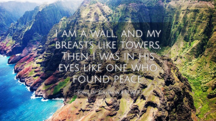 Picture 05 - Song of Solomon 8:10 WEB Desktop Wallpaper - I am a wall, and my breasts like towers, Then I - Desktop Bible Verse Wallpaper