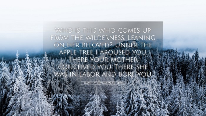 Picture 05 - Song of Solomon 8:5 WEB Desktop Wallpaper - Who is this who comes up from the wilderness, - Desktop Bible Verse Wallpaper