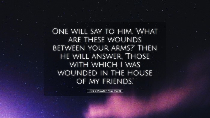 Picture 05 - Zechariah 13:6 WEB Desktop Wallpaper - One will say to him, 'What are these wounds - Desktop Bible Verse Wallpaper