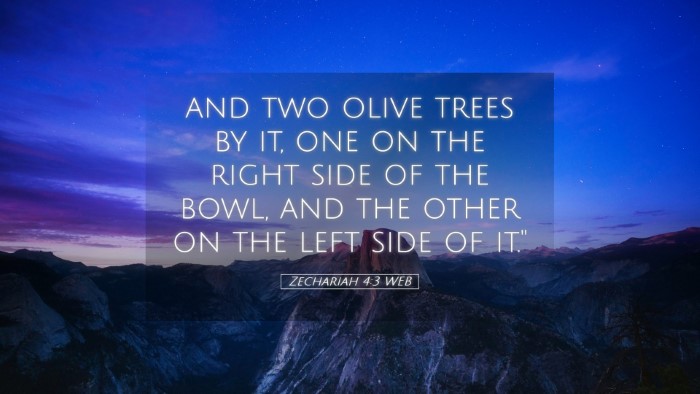 Picture 05 - Zechariah 4:3 WEB Desktop Wallpaper - and two olive trees by it, one on the right side - Desktop Bible Verse Wallpaper