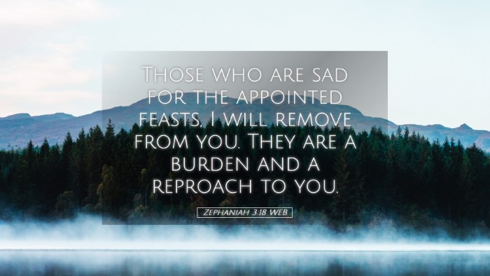 Picture 05 - Zephaniah 3:18 WEB Desktop Wallpaper - Those who are sad for the appointed feasts, I - Desktop Bible Verse Wallpaper