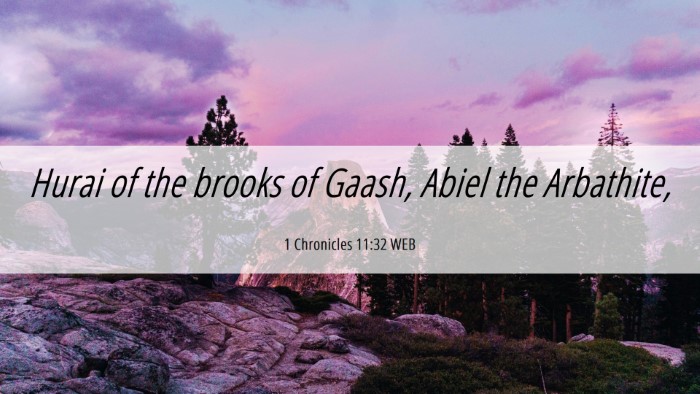 Picture 06 - 1 Chronicles 11:32 WEB Desktop Wallpaper - Hurai of the brooks of Gaash, Abiel the - Desktop Bible Verse Wallpaper