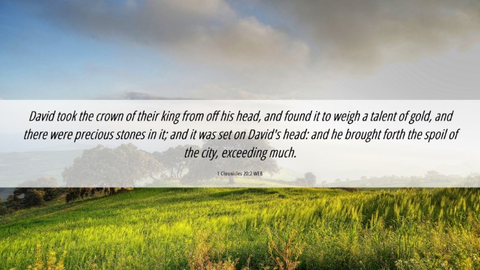 Picture 06 - 1 Chronicles 20:2 WEB Desktop Wallpaper - David took the crown of their king from off his - Desktop Bible Verse Wallpaper